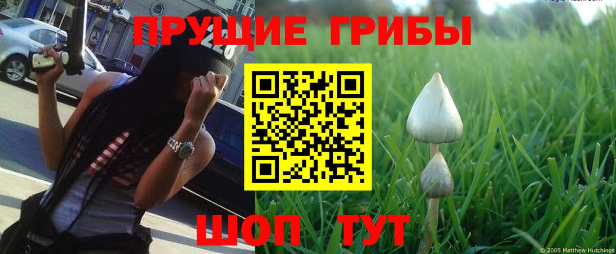 Нягань  Псилоцибиновые грибы мухоморы  Галлюциногенные грибы Psilocybine cubensis  Вход с VPN 