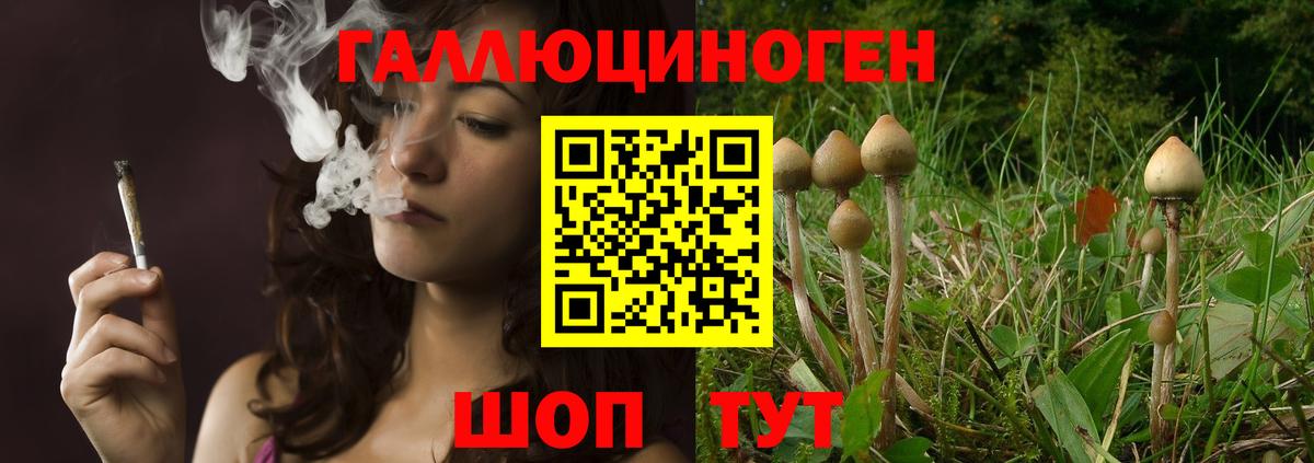 Псилоцибиновые грибы ЛСД Нягань